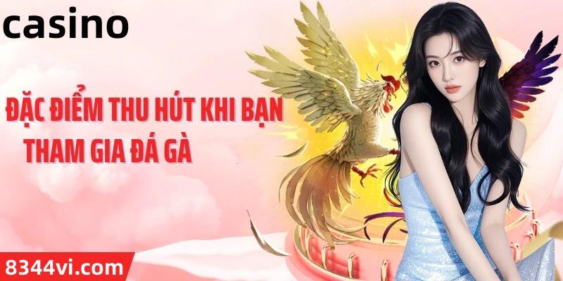 Hình ảnh quảng cáo của mb66 hiển thị nền tảng và các lợi ích